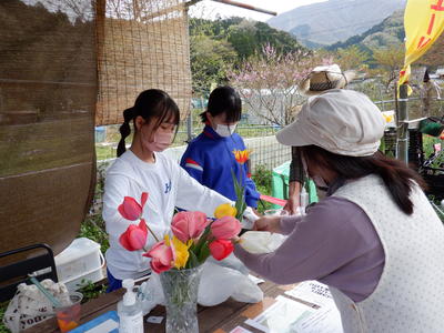 チューリップ祭り